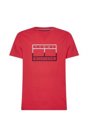 Tommy Hilfiger T-shirt - OUTLINE LINEAR FLAG TEE red