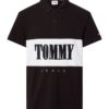Tommy Jeans Polo shirt - TJM CLSC SERIF BLOCK POLO black