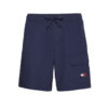 Tommy Jeans Shorts - TJM POCKET BEACH SHORT blue