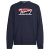 Tommy Jeans Sweater - TJM TOMMY GRAPHIC FLAG SWEATER blue