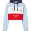 Tommy Jeans Sweatshirt - TJW CROP ARCHIVE HOODIE blue