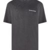 Tommy Jeans T-Shirt - TJM SKATER SERIF BAC black