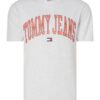 Tommy Jeans T-shirt - TJM CLASSIC COLLEGIA grey