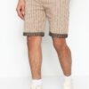 Trendyol Beige Men's Regular Mid-Length/Regular Cut Striped Shorts.