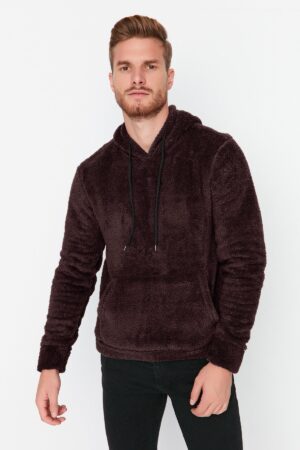 Trendyol Brown Regular/Normal Cut Hooded Warm Plush Sweatshirt