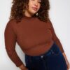 Trendyol Curve Brown High Neck Bodycone Ribbed Knitted Blouse