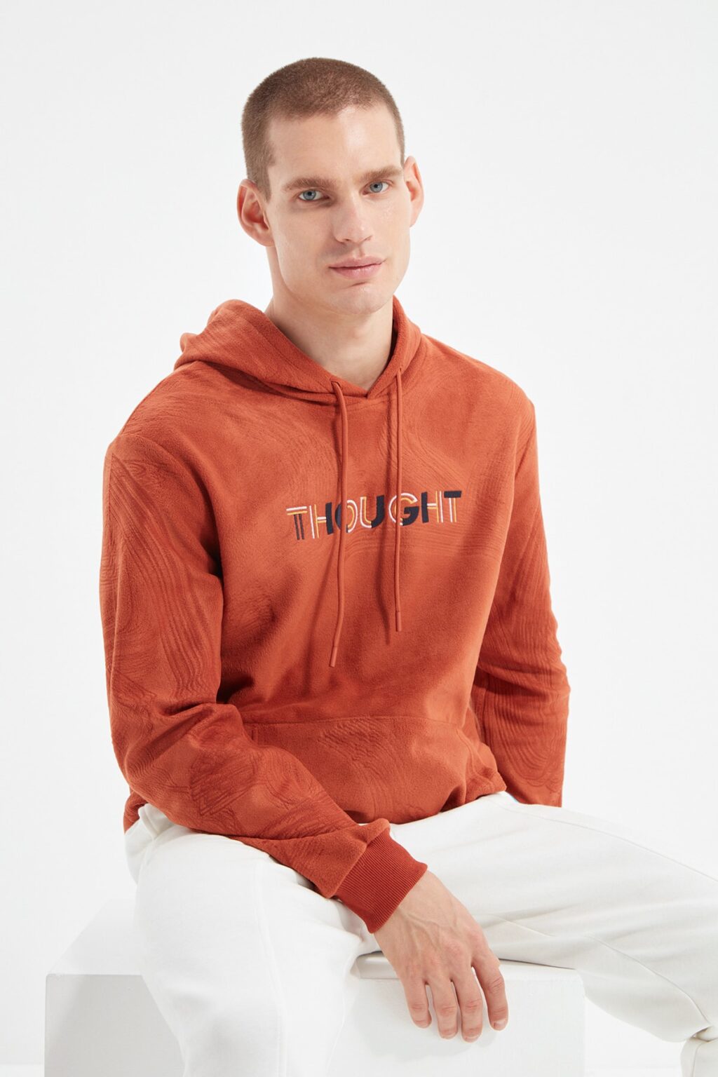 Trendyol Men's Regular/Normal Fit Hoodie with Embroidery and Warm Thick Fleece/Plush Sweatshirt.