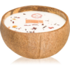 Tropicandle Christmas Spice illatgyertya fa kanóccal 350 ml-Ár