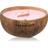 Tropicandle Frozen Cranberry illatgyertya fa kanóccal 350 ml-ár