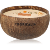 Tropicandle Sandalwood & Tangerine illatgyertya fa kanóccal 350 ml-ár