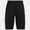 Under Armour Kraťasy UA Prototype 2.0 Wdmk Shorts-BLK