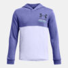 Under Armour Sweatshirt UA Boys Rival Terry Hoodie - PPL - Boys