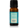 Venoc Essential oil eucalyptus globulus illóolaj 10 ml-ár