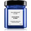 Vila Hermanos Apothecary Cobalt Blue Eucalyptus & Mint illatgyertya 150 g-Ár