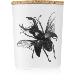Vila Hermanos Insect Lucanus Cervus illatgyertya 75 g-ár