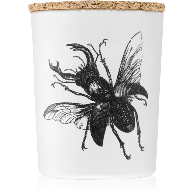 Vila Hermanos Insect Lucanus Cervus illatgyertya 75 g-ár