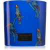Vila Hermanos Jungletopia Rain Forest illatgyertya 620 g-ár