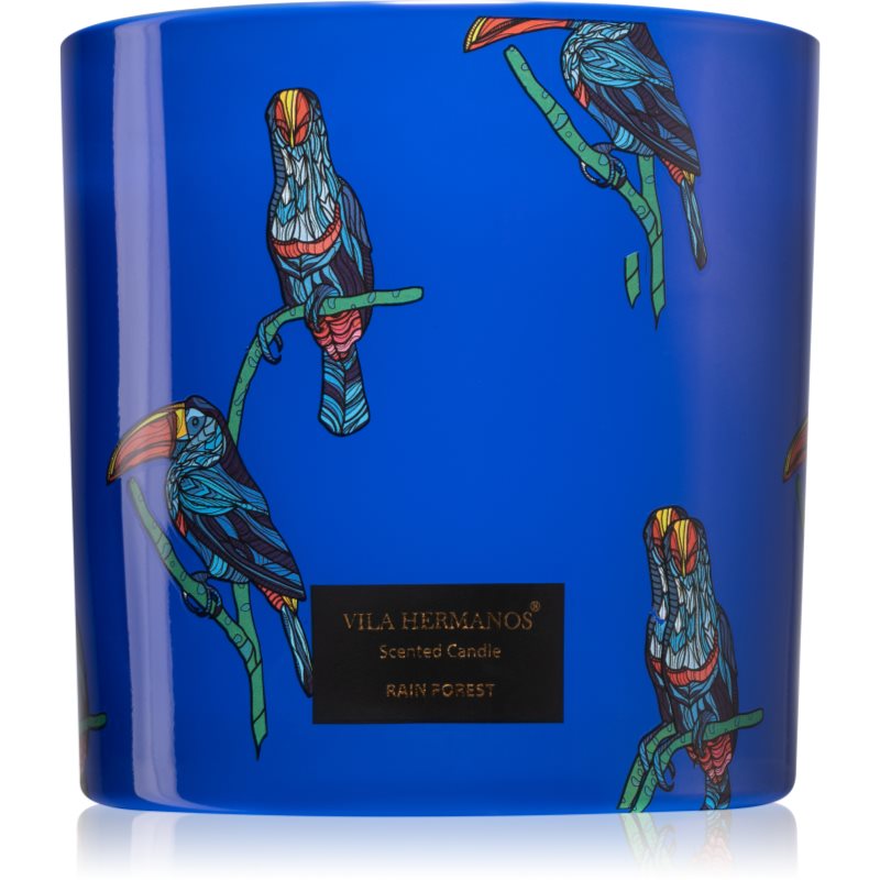 Vila Hermanos Jungletopia Rain Forest illatgyertya 620 g-ár