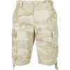 Vintage Sandstorm Shorts