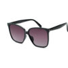 WAYE sunglasses - 4 Shiny Black w Gradient Smoke lens Cat. 2