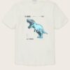 White Boys T-Shirt Tom Tailor - Boys