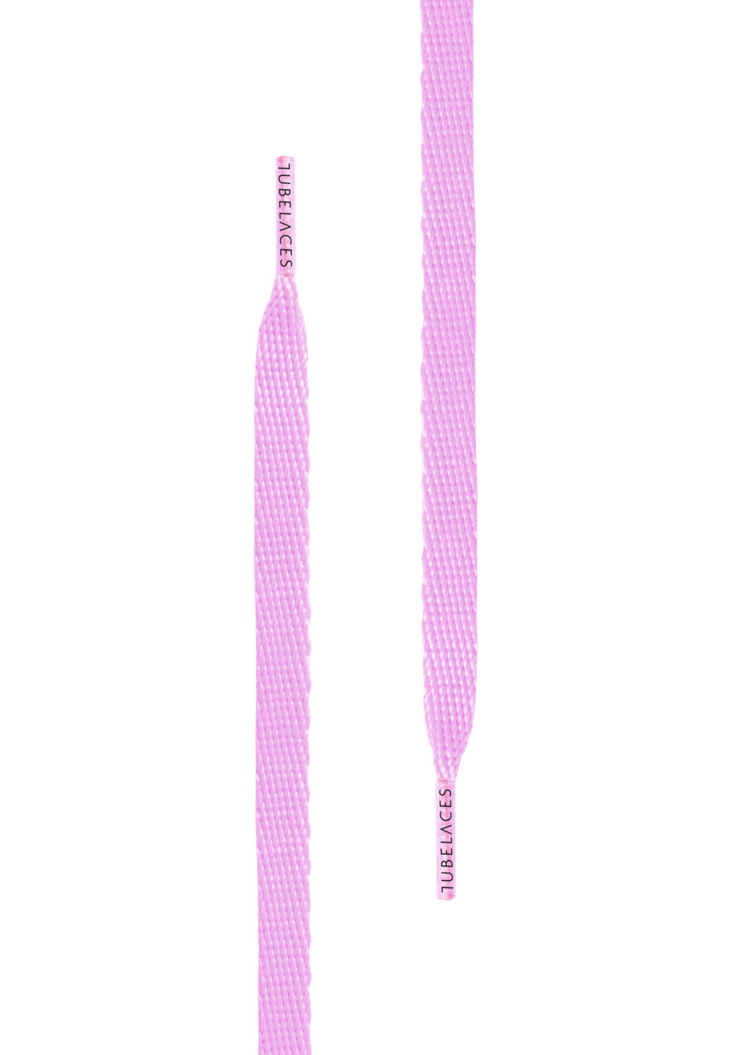 White Flat Lavender