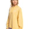 Women's hoodie Roxy LIGHTS OUT B