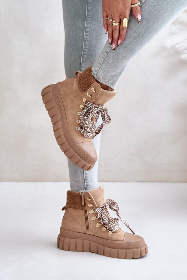 Women's insulated ankle boots on a platform brown Alcyhen