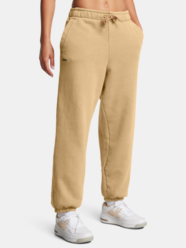 Women's pants Under Armour UA Icon HWT Flc OS Pant-BRN - Women's