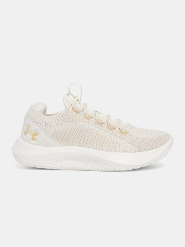 Women's shoes Under Armour UA W Dynamic 2 - Women's