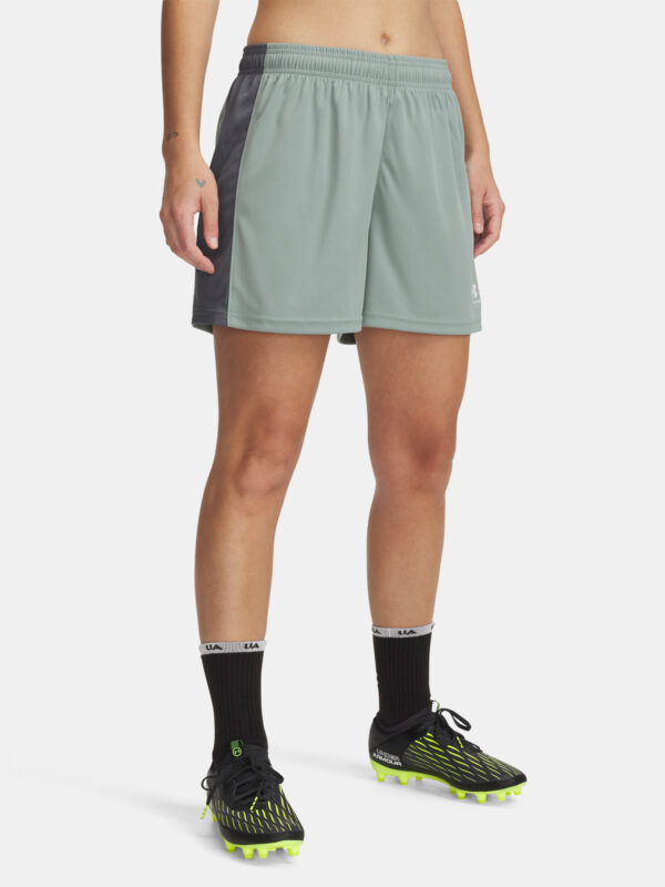 Women's shorts Under Armour UA W's Ch. Knit Short - Women's