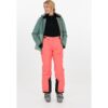 Women's ski pants Whistler Drizzle W Ski Pant W-Pro 10000