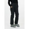 Women's ski pants Whistler Drizzle W Ski Pant W-Pro 10000