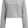 Women's sweatshirt School gray