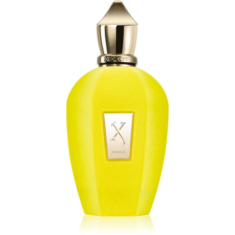 Xerjoff Amabile Eau de Parfum unisex 100 ml-Ár