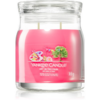 Yankee Candle Art In The Park illatgyertya Signature 368 g-Ár