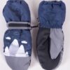 Yoclub Kids's Children'S Winter Ski Gloves REN-0295C-A110 Navy Blue