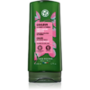 Yves Rocher Couleur kondicionáló festett hajra 200 ml-Ár