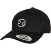 Zodiac YP Classics 5-Panel Premium Curved Visor Snapback Cap Crayfish
