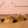marka niezdefiniowana Brown children's fur slides Malinka